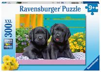Dėlionė Ravensburger Puppies, 300 vnt.