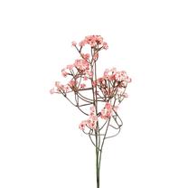 Dirbtinė šakelė Homla Cladel, rožinė sp., 61 cm