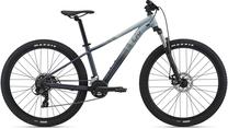 Dviratis kalnų Liv Tempt, 29 ", S rėmas, pilka sp.