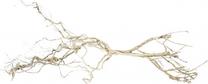 Akvārija dekorācija Terra Natura Root Weirwood, gaiši brūna krās., 15 cm