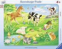 Dėlionė Ravensburger 061198, 35 vnt.
