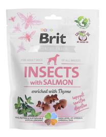 Gardums suņiem Brit Care Crunchy Cracker Insects with Salmon, lasis, 0.2 kg