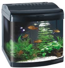 Akvariumas Boyu Mini MT-402, juoda sp., su įranga, 32 l