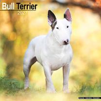Sienas kalendārs Flamingo Calendar 27 Bull Terrier, daudzkrāsaina, 29.5 cm x 29.5 cm