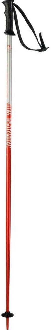 Slēpju nūjas kalniem Elan Skis RockRoad, 110 cm