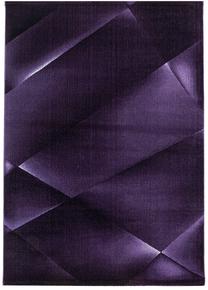Kilimas vidaus Ayyildiz Costa Abstract 3527, šviesiai violetinė sp., 340 cm x 240 cm