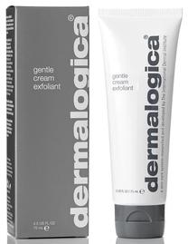 Скраб для лица Dermalogica, 75 мл