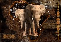 Fototapete Artgeist Brown Elephants, 315 cm x 450 cm