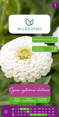 Sėklos gvaizdūnė POLAR BEAR, 1 g