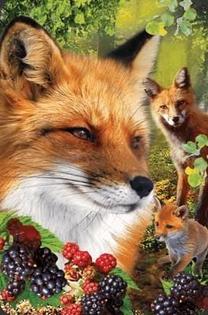 3D kartīte Worth Keeping Mini Card 3D Fox 182654, 9 cm x 5.8 cm, daudzkrāsaina