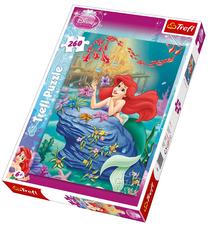Pusle Trefl 13072, 260 tk
