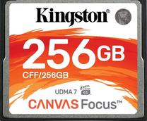 Atminties kortelė Kingston, 256 GB