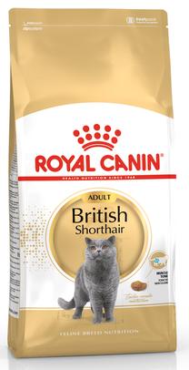 Sausā kaķu barība Royal Canin Adult British Shorthair, vistas gaļa, 10 kg