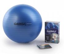 Vingrošanas bumbas Pezzi Maxafe 0103016D0065000A, zila krās., 53 cm