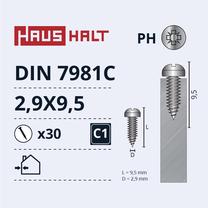 Savisriegis Haushalt DIN7981C, 2.9 mm x 9.5 mm, 30 vnt.