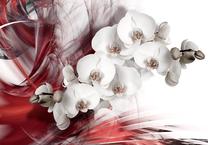 Fototapete Artgeist Orchid In Red XXLNEW011424SAM, 210 cm x 294 cm