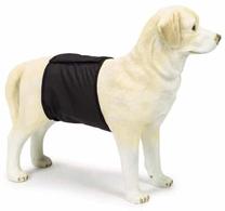 Восстановительная одежда для собак Beeztees Incontinence Band 795143, черный цв., L