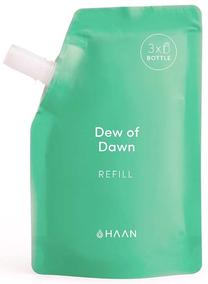 Käte desinfitseerimisvahend Haan Dew of Dawn Refill, 100 ml