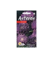 Sēklas Kurzemes sēklas asteres Trobador Purple, 0.2 g