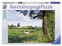 Dėlionė Ravensburger 16635, 98 cm x 75 cm, 2000 vnt., įvairių spalvų