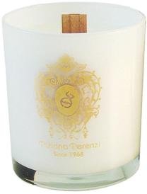 Свеча, ароматическая Tiziana Terenzi Spicy snow, 45 час, 170 г, белый цв.