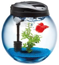Akvariumas Aquael Classic Spherical, juoda sp., su įranga, 45 l