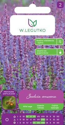 Sėklos šalavijas PURPLE BLUE, 0.1 g