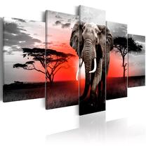 Reprodukcija Artgeist Lonely Elephant HK7051, 100 cm x 50 cm