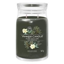 Žvakė, aromatinė Yankee Candle Silver Sage & Pine, 60 - 90 h, 567 g, žalia sp.
