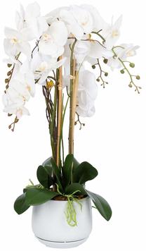 Dirbtinis augalas vazone, orchidėja Home4you Garden Queen, balta sp./žalia sp., 68 cm