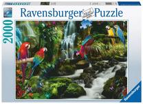 Dėlionė Ravensburger Jungle Parrots 17111, 75 cm x 98 cm, 2000 vnt., įvairių spalvų