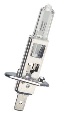Automobilio lemputė Bottari, halogeninė, 12 V