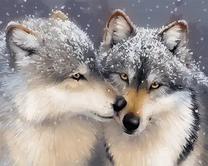 Tapymas pagal skaičius Picture Paint It! Affectionate Wolves, įvairių spalvų