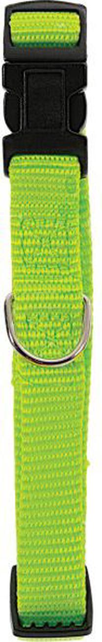 Ошейник для собак Zolux Nylon, зеленый цв., 220 - 360 мм x 10 мм, 22-36