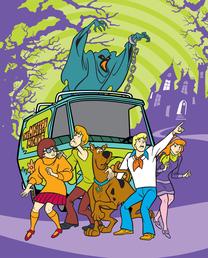 Antklodė Faro Tekstylia, įvairių spalvų