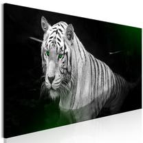 Reprodukcija Artgeist Shining Tiger, g-b-0133-b-c, 150 cm x 50 cm