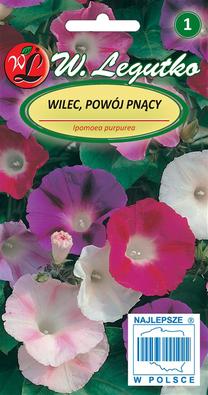 Sėklos ipomėja