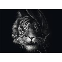 Dėlionė Schmidt Ashley Rader: Wilderness - Tiger, In The Sign Of Freedom, 1000 vnt.