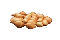 Istik Corado F, 0.4 kg
