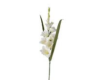 Dirbtinė gėlė kardelis, balta sp., 98 cm