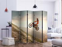 Širma Artgeist Motor Sport II, įvairių spalvų, 225 cm x 172 cm