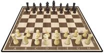 Male Ambassador Table Of Chess Wood Classic Board 42-ST001
