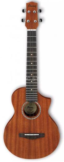 Klasiskā ģitāra Ibanez Natural, brūna krās.