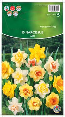 Svogūninės gėlės narcizas MIX, 10 - 12 mm, 15 vnt.