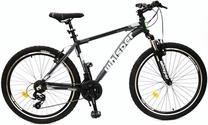 Dviratis kalnų Whisper WM300, 26 ", 18" rėmas, žalia sp./pilka sp.