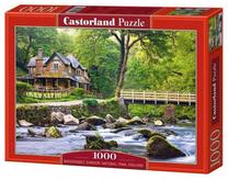 Dėlionė Castorland 102389, 68 cm x 47 cm, 1000 vnt., įvairių spalvų