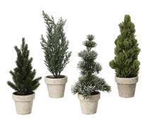 Kalėdinė dekoracija Decoris Tree in pot, žalia sp./(spalva/dizainas parenkami atsitiktine tvarka), 30 cm x 10 cm