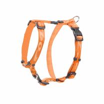 Petnešos šunims Rogz Alpinist Classic, oranžinė sp., 450 - 750 mm x 20 mm, 45-75