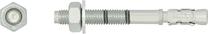 Ankrupolt mutriga Rawlplug, 16x125 mm, 25 tk