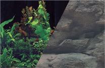 Akvārija fons Zolux Black Rock, daudzkrāsaina, 120 cm